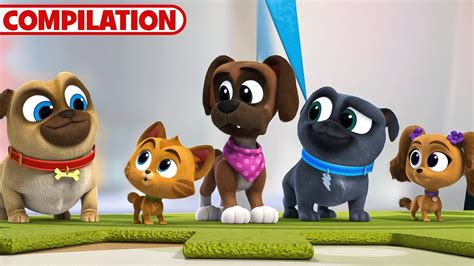 puppy dog pals 123movies|Puppy Dog Pals: All Episodes .